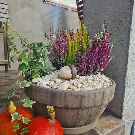 Casa-dorina Petrila