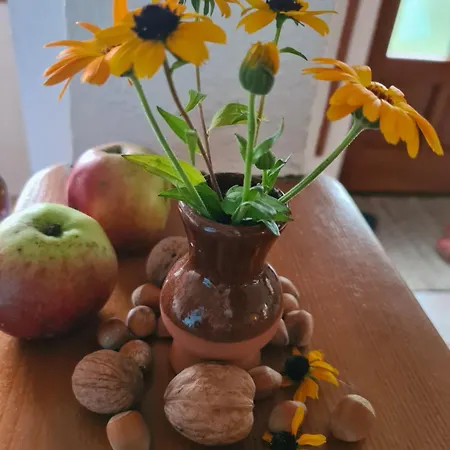 Casa-dorina